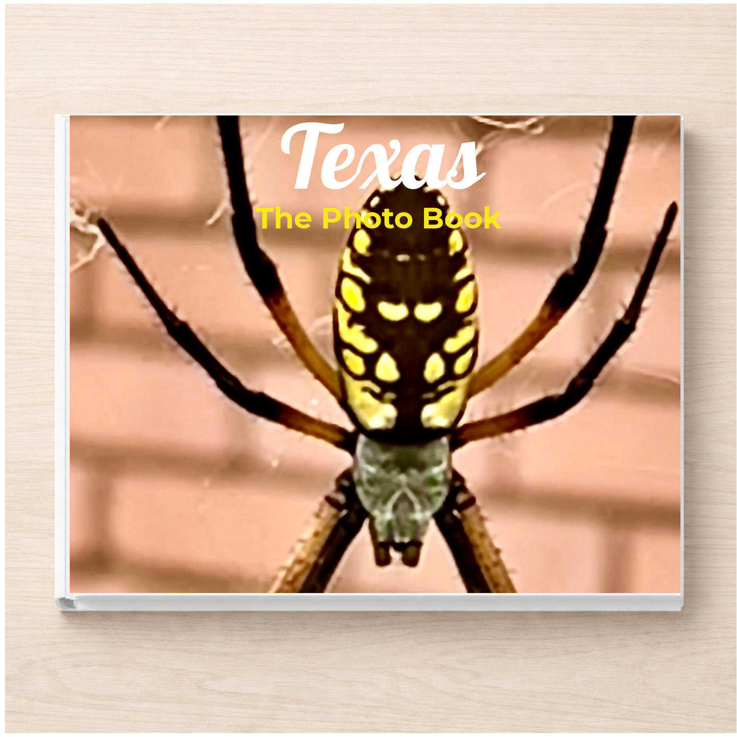 Texas: The Photo Book