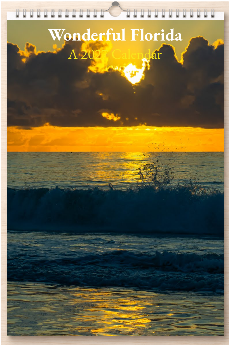 Wonderful Florida: A 2027 Calendar