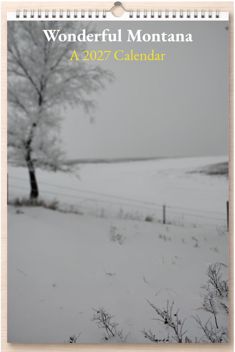 Wonderful Montana: A 2027 Calendar