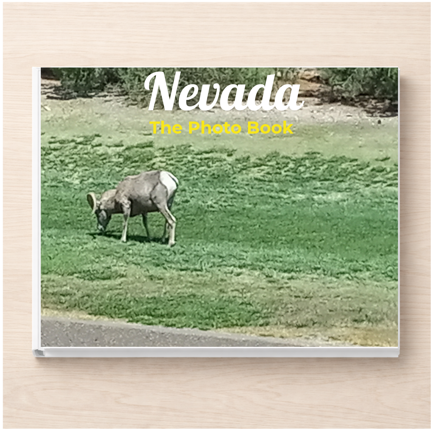 Nevada: The Photo Book