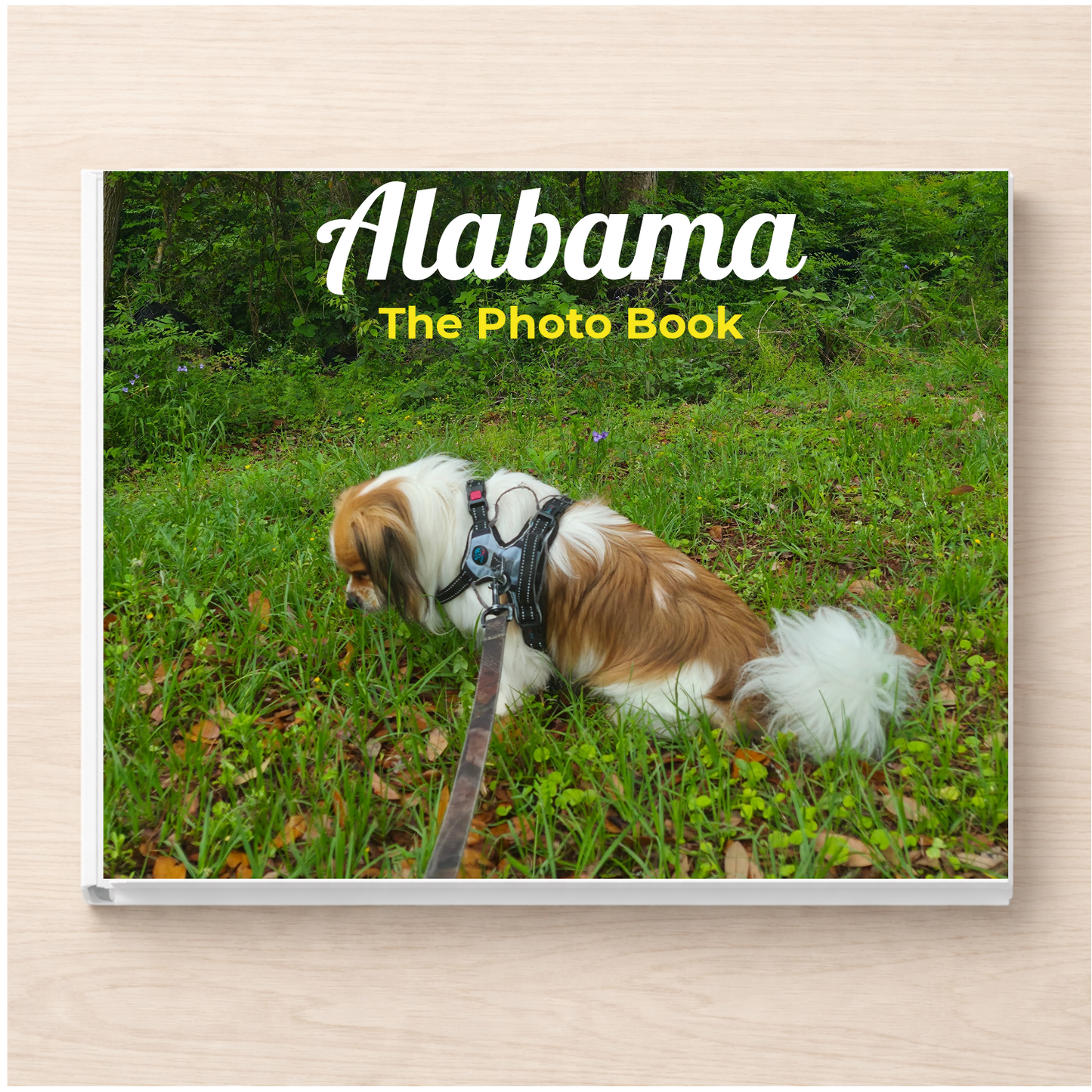 Alabama: The Photo Book