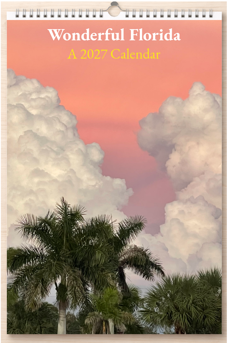 Wonderful Florida: A 2027 Calendar