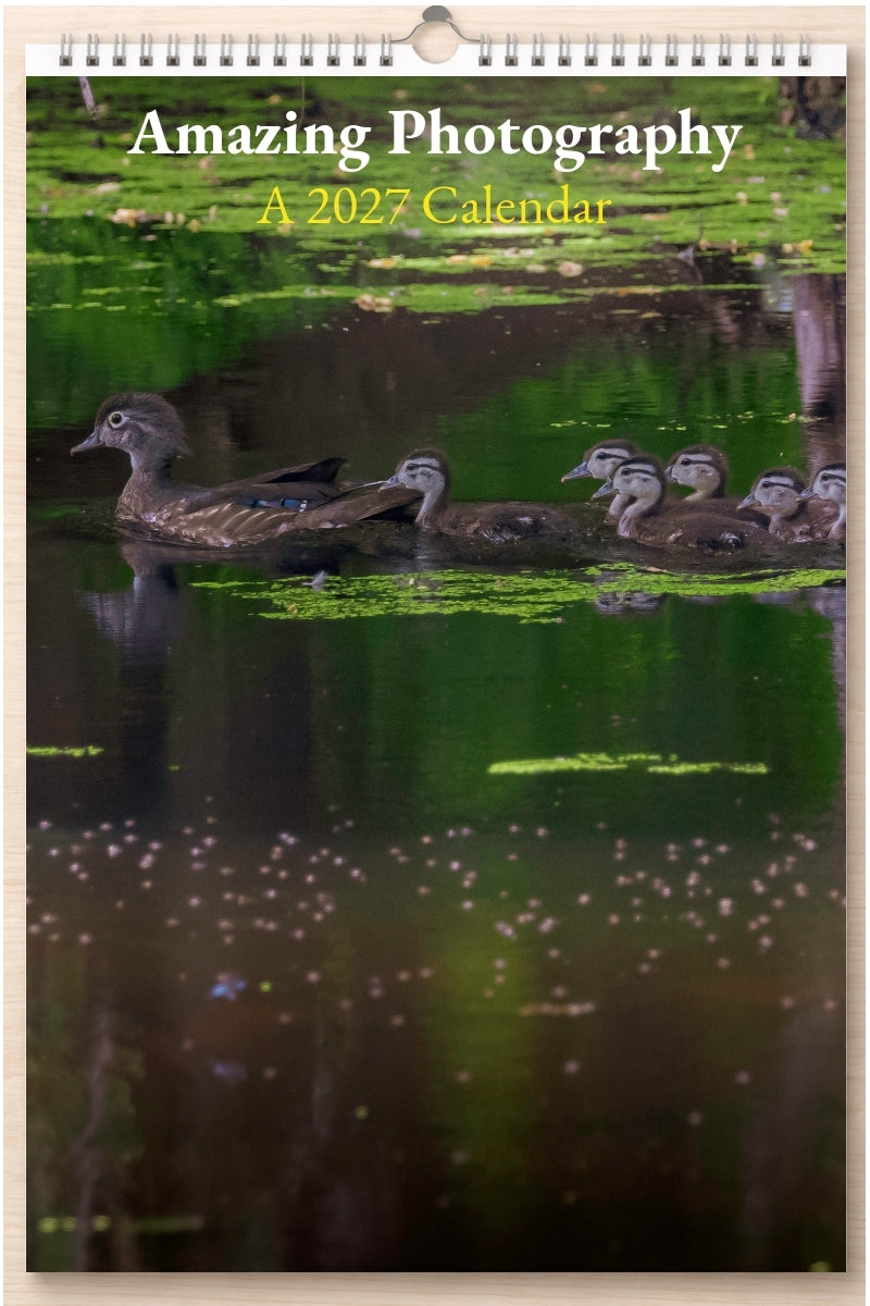 Amazing Photography: A 2027 Calendar
