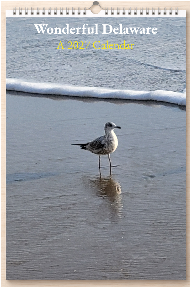 Wonderful Delaware: A 2027 Calendar
