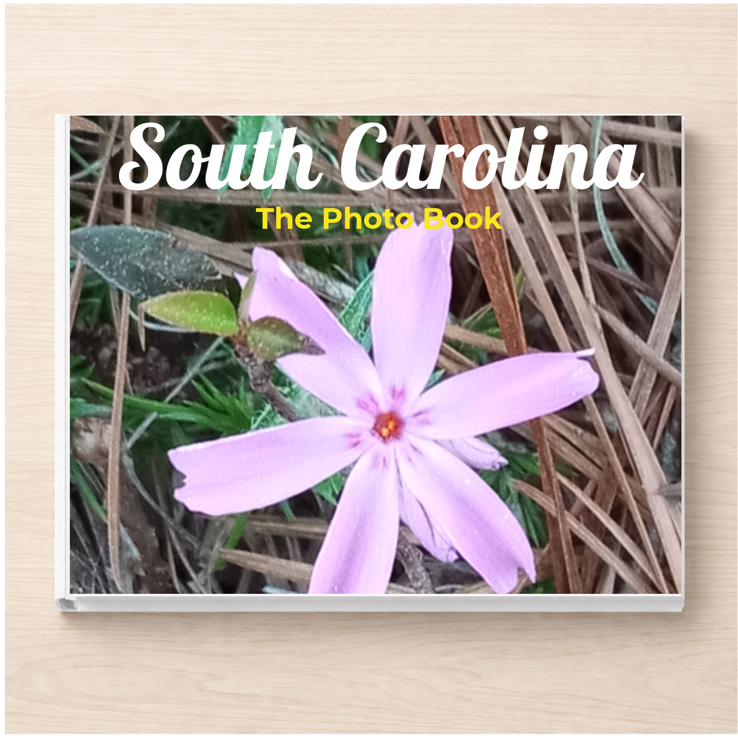 South Carolina: The Photo Book