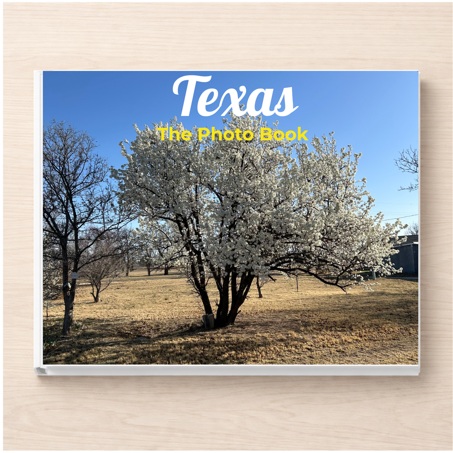 Texas: The Photo Book
