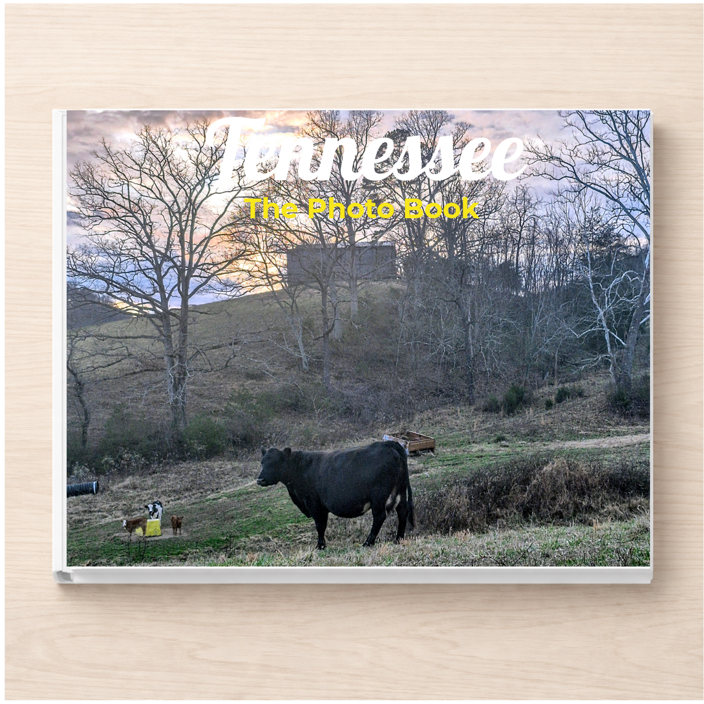 Tennessee: The Photo Book