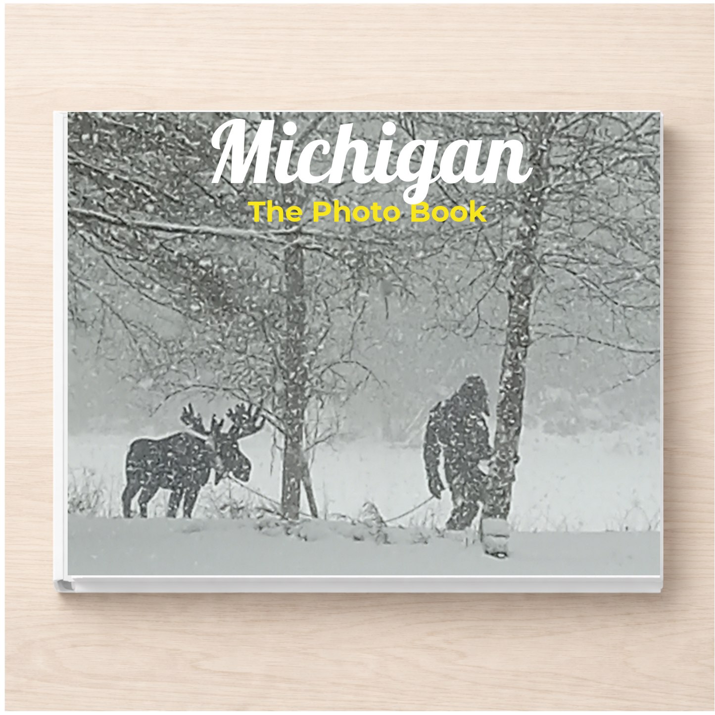 Michigan: The Photo Book