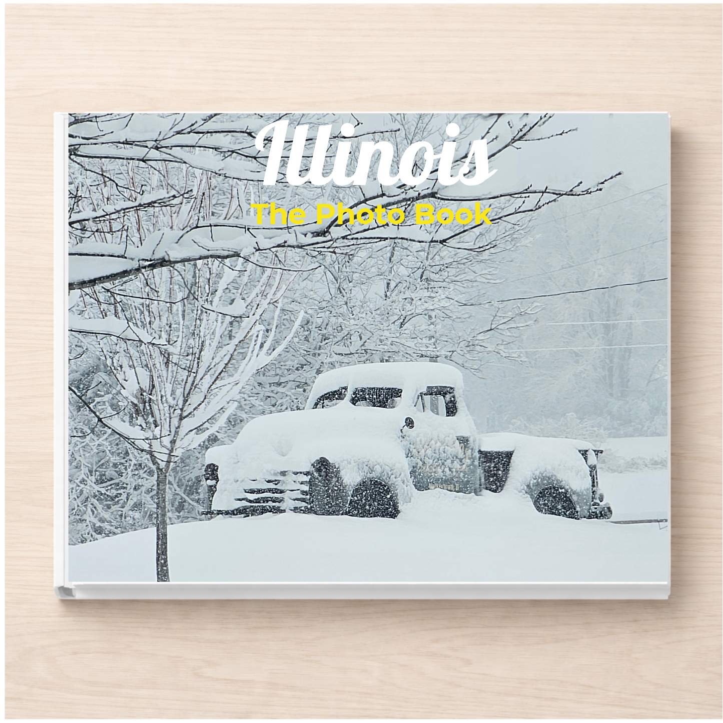 Illinois: The Photo Book