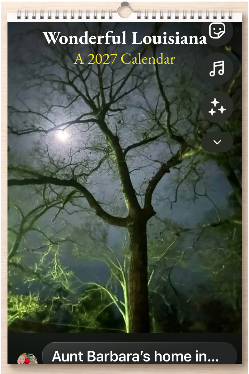 Wonderful Louisiana: A 2027 Calendar