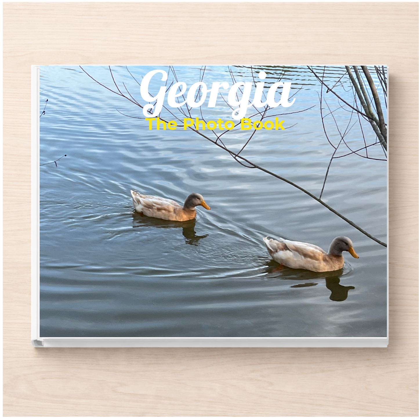 Georgia: The Photo Book
