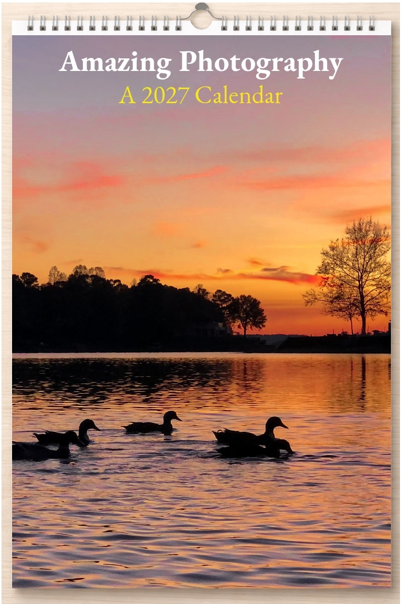 Amazing Photography: A 2027 Calendar