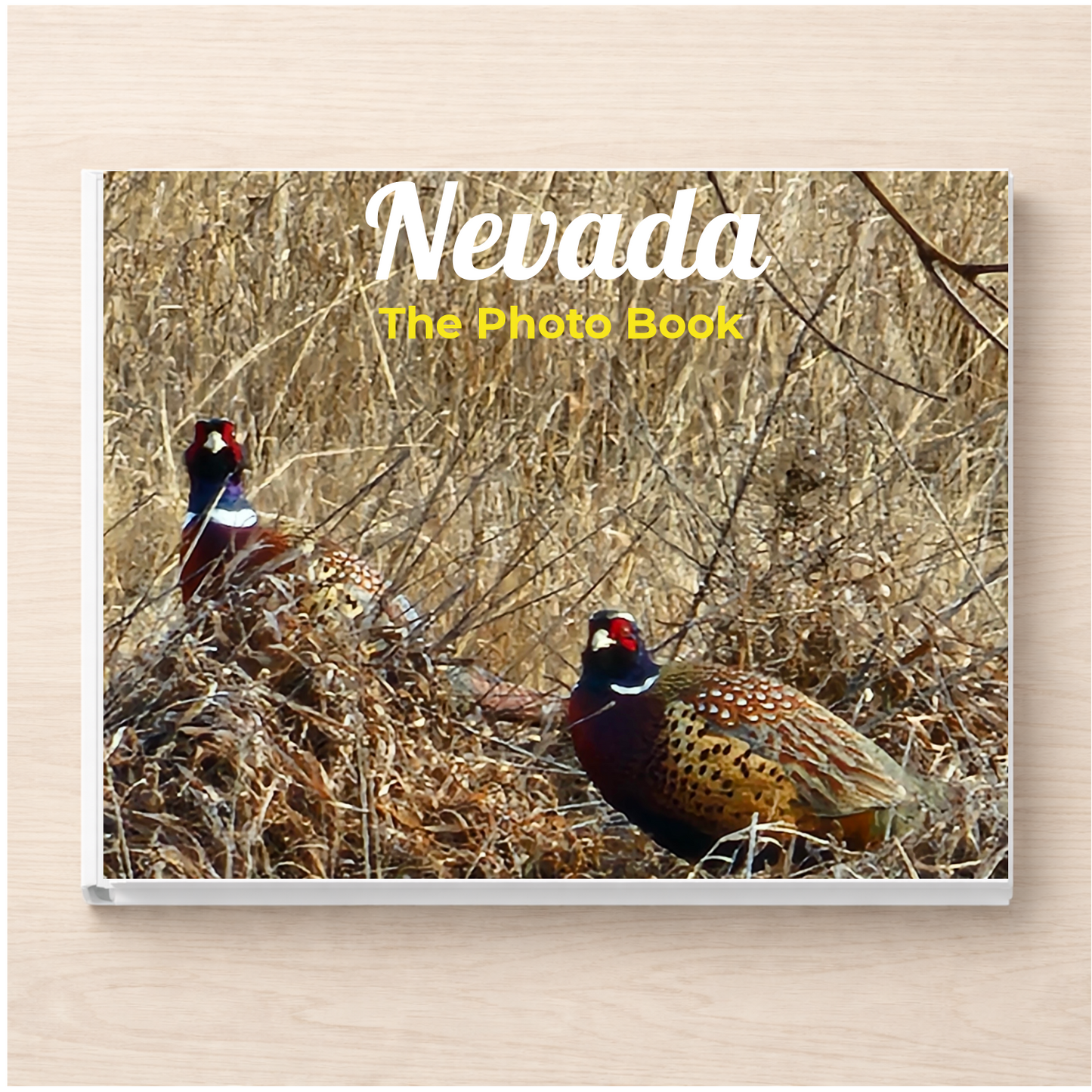 Nevada: The Photo Book