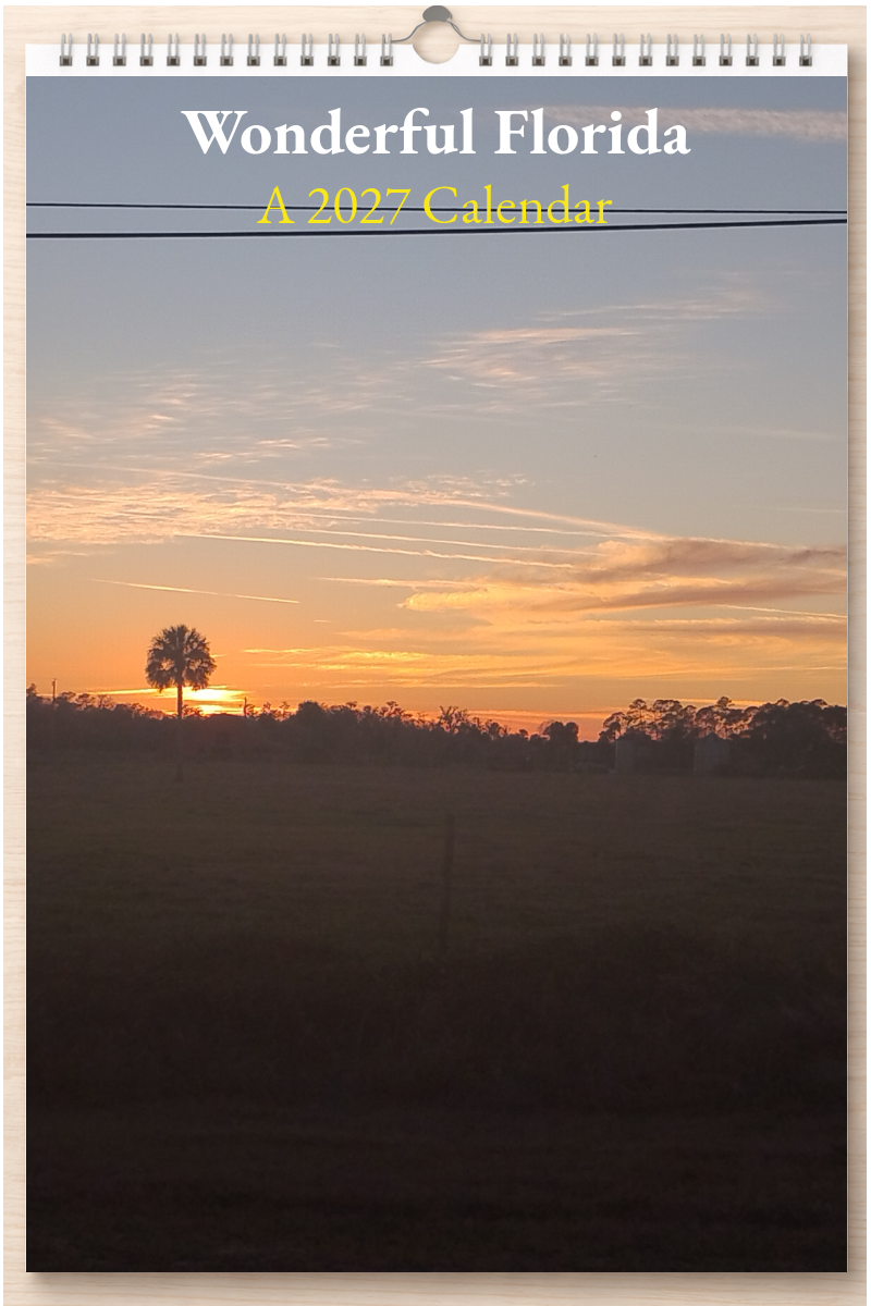 Wonderful Florida: A 2027 Calendar