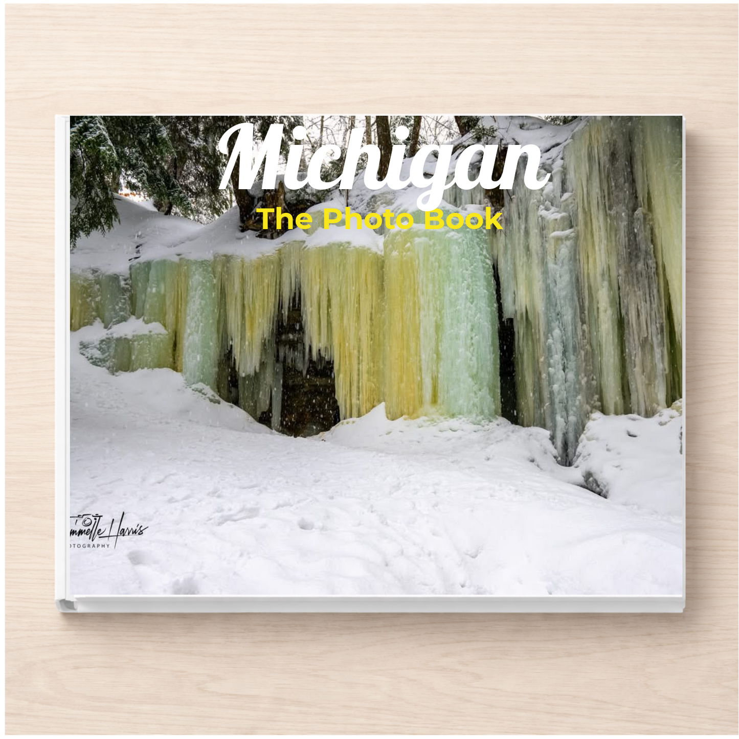 Michigan: The Photo Book