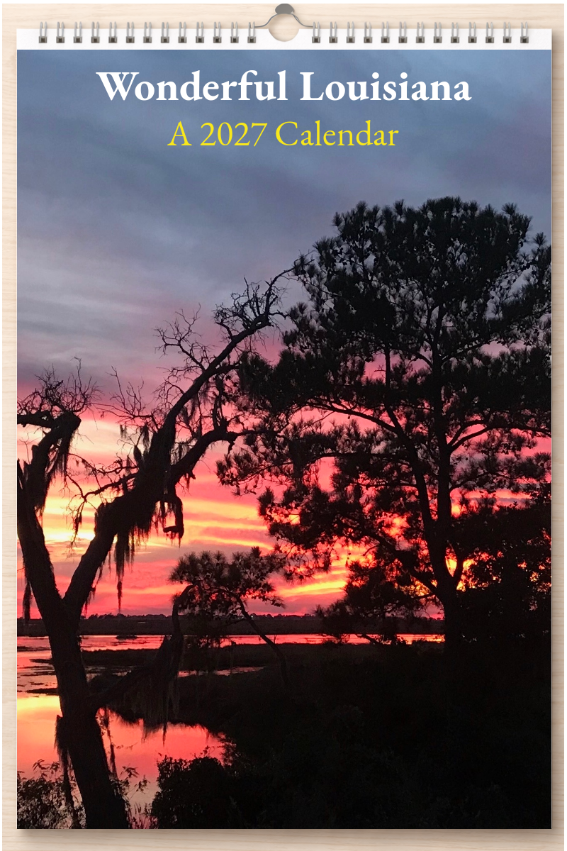 Wonderful Louisiana: A 2027 Calendar