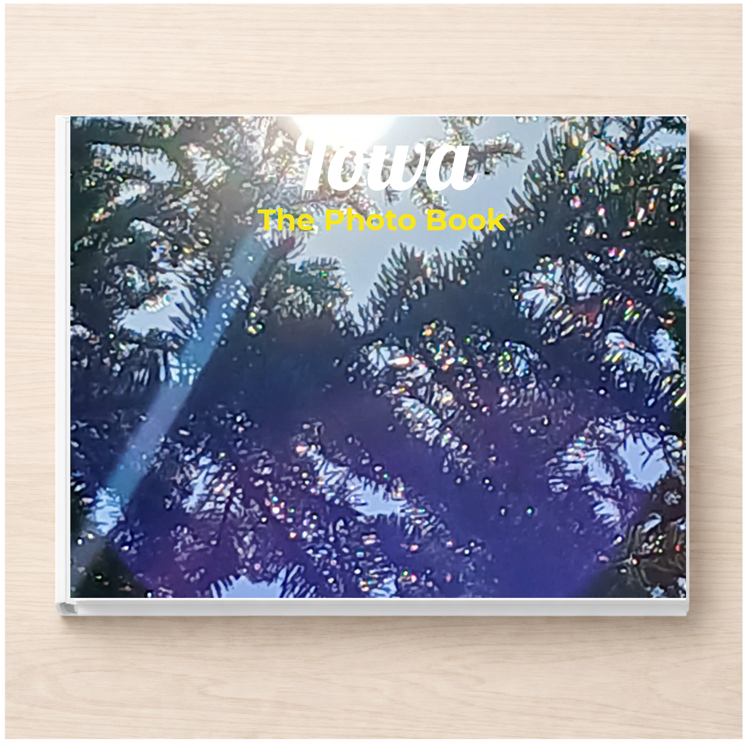 Iowa: The Photo Book