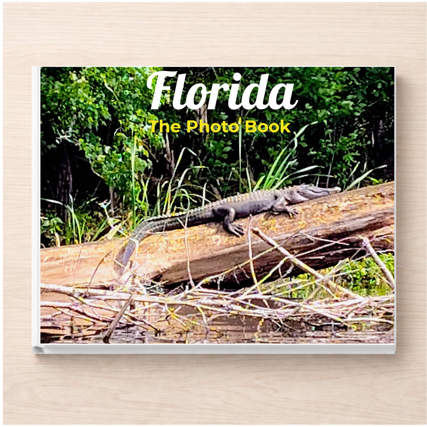 Florida: The Photo Book