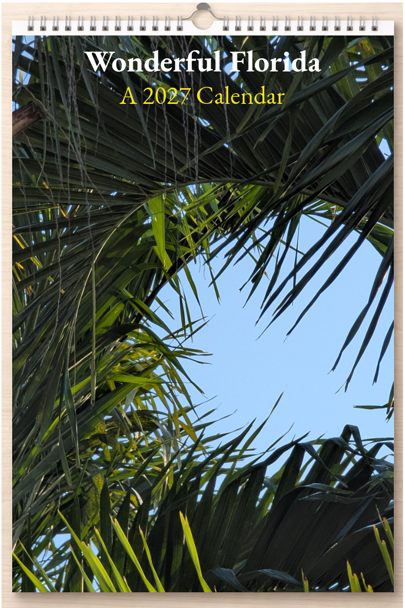 Wonderful Florida: A 2027 Calendar