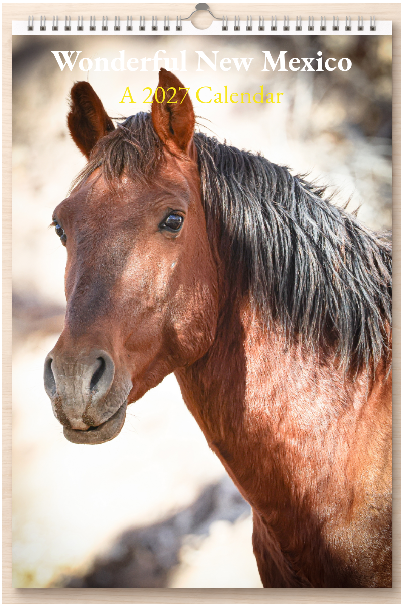 Wonderful New Mexico: A 2027 Calendar