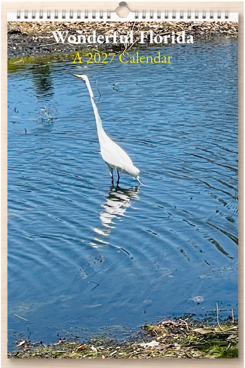 Wonderful Florida: A 2027 Calendar