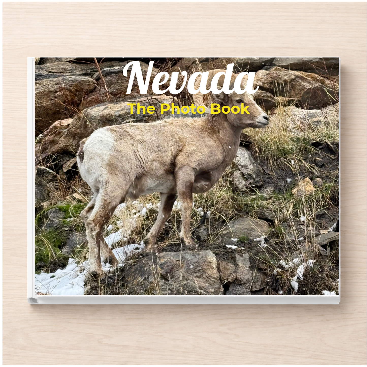 Nevada: The Photo Book