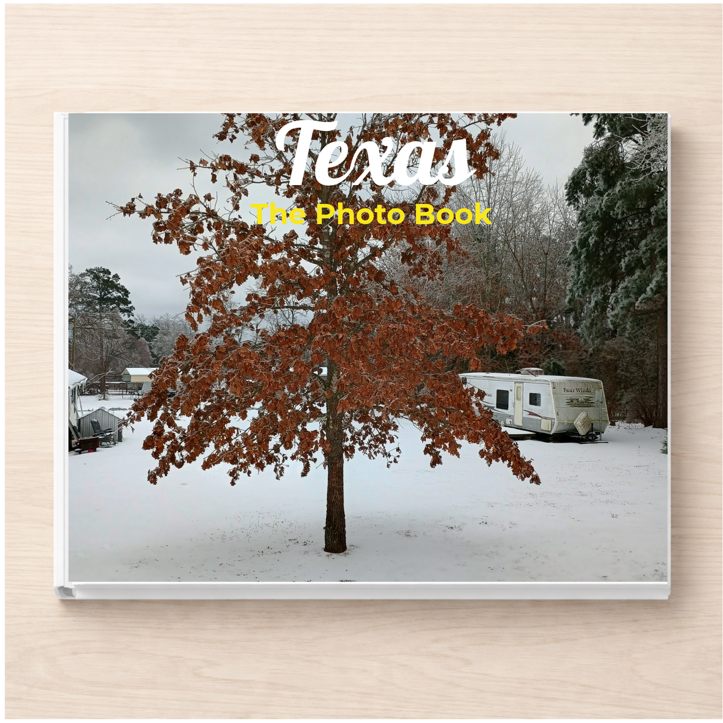 Texas: The Photo Book
