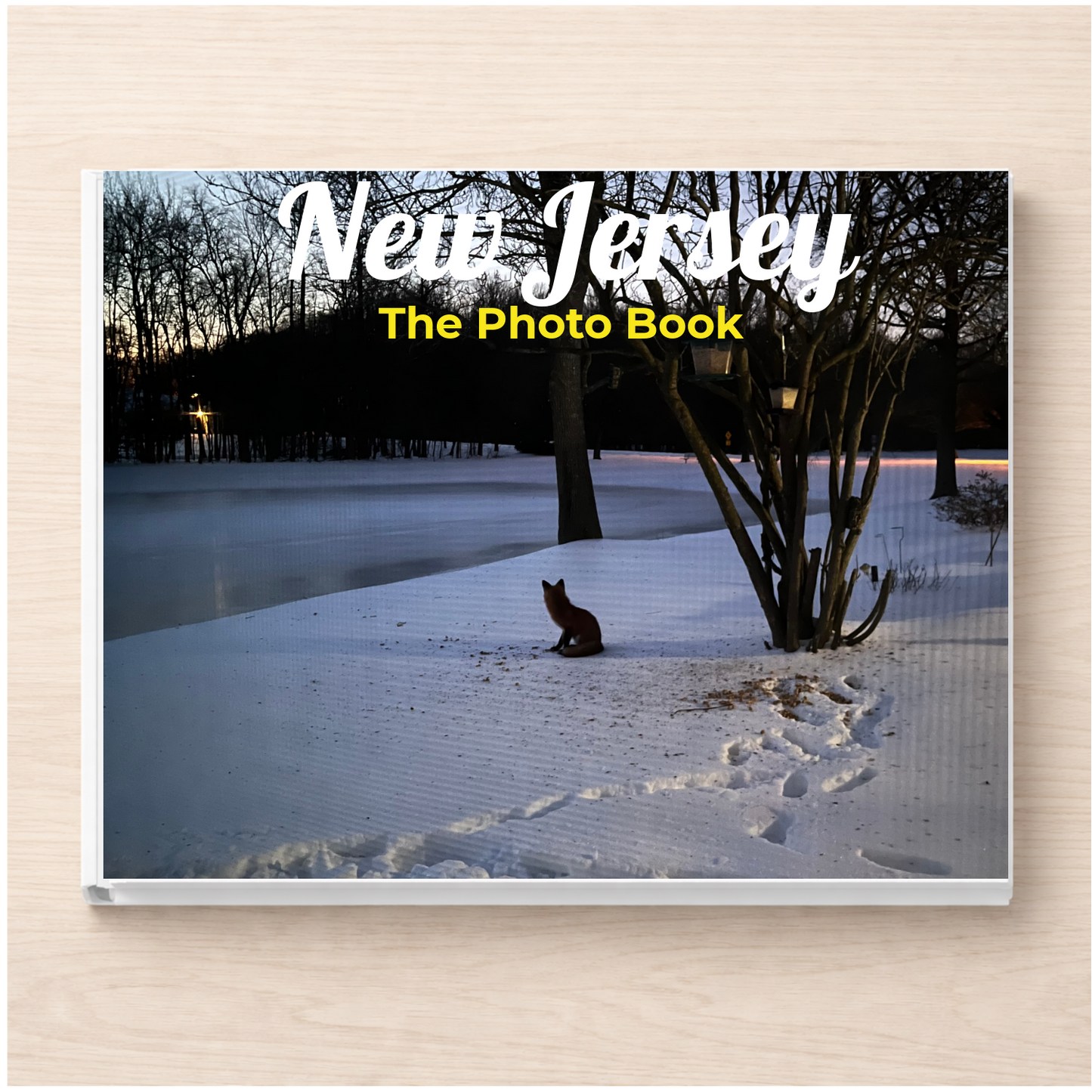 New Jersey: The Photo Book