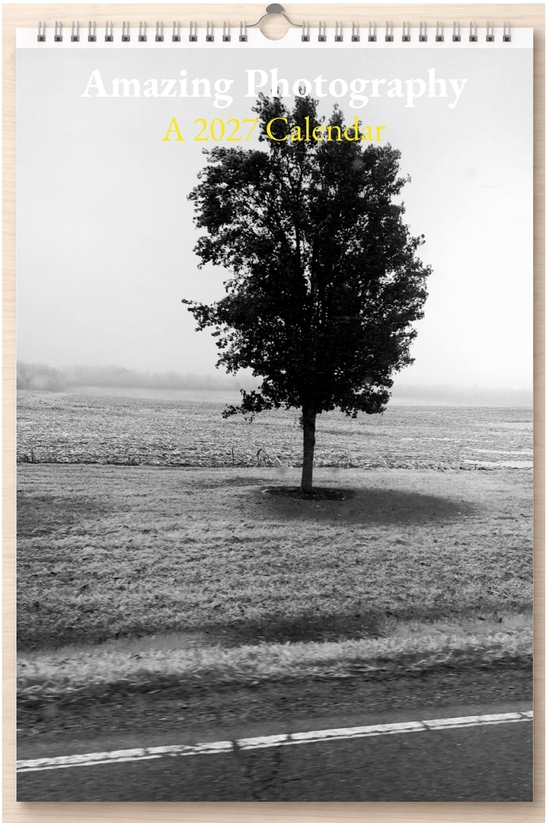 Amazing Photography: A 2027 Calendar