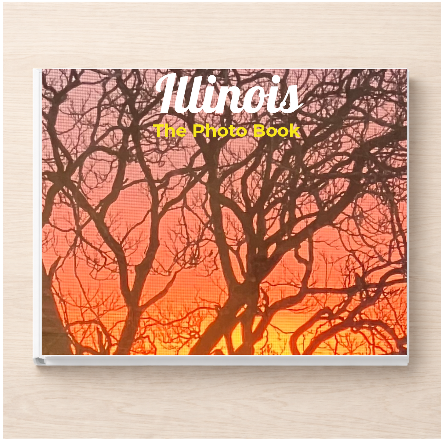 Illinois: The Photo Book