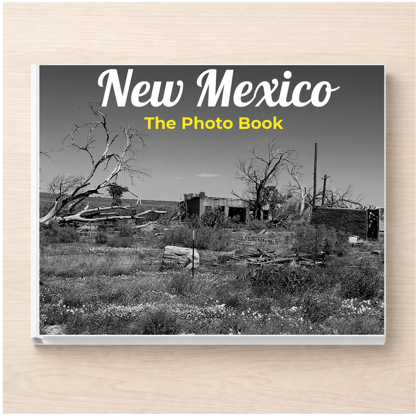 New Mexico: The Photo Book