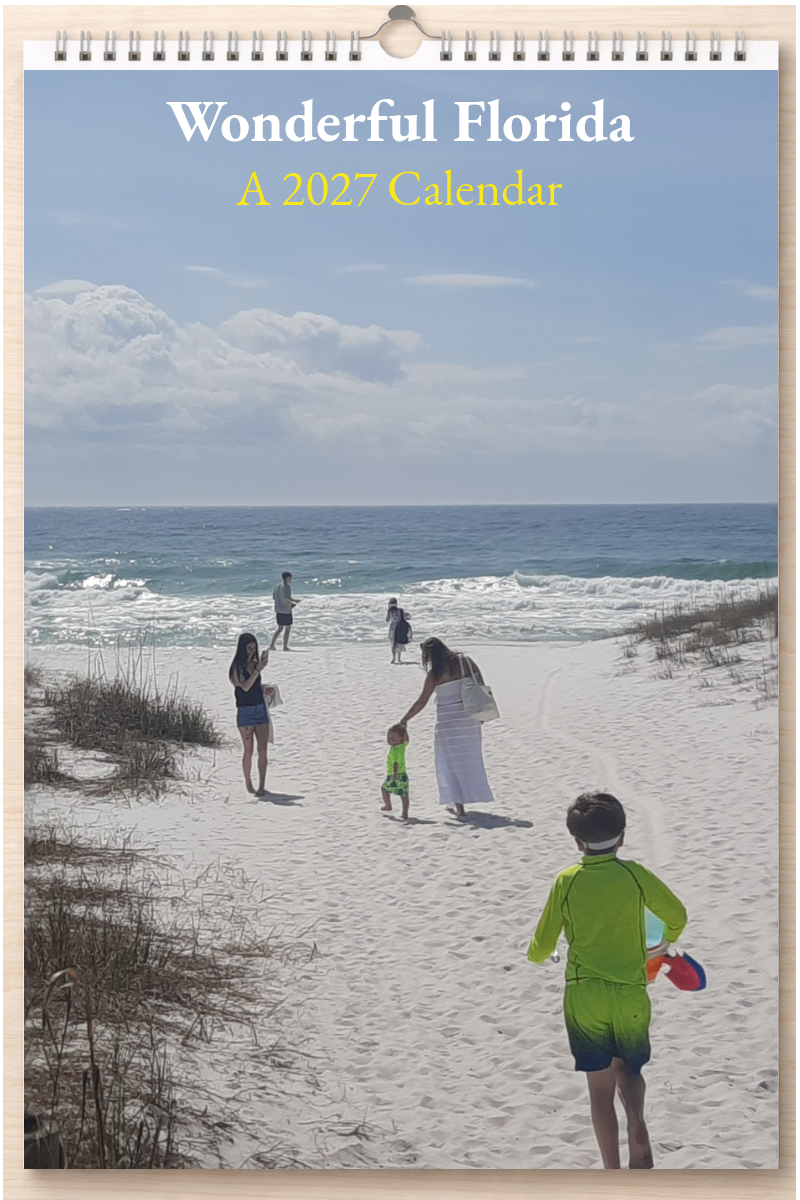 Wonderful Florida: A 2027 Calendar