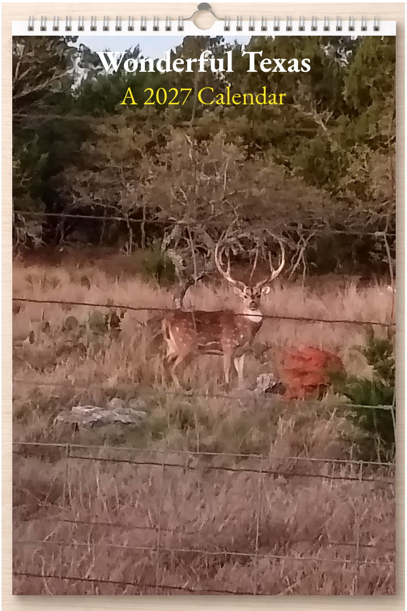 Wonderful Texas: A 2027 Calendar