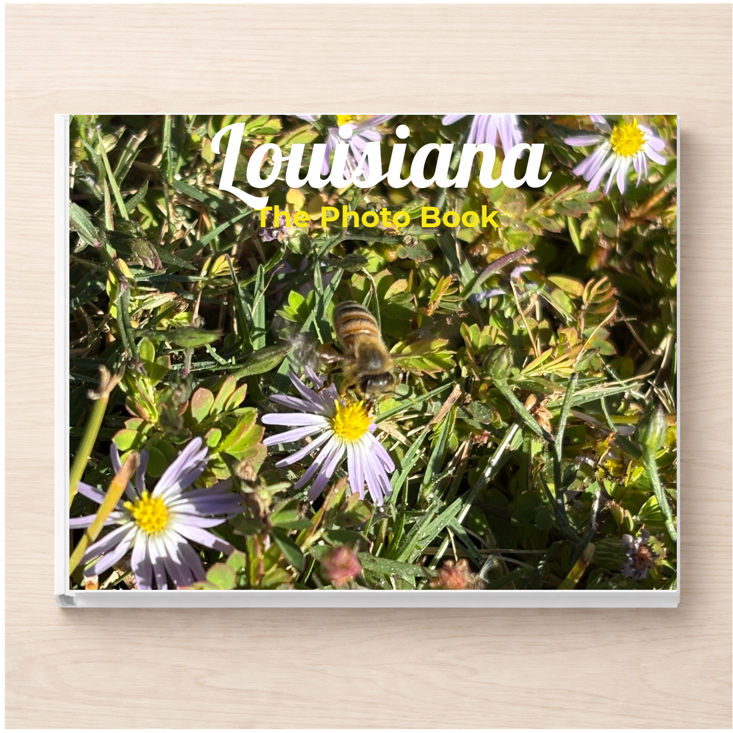 Louisiana: The Photo Book