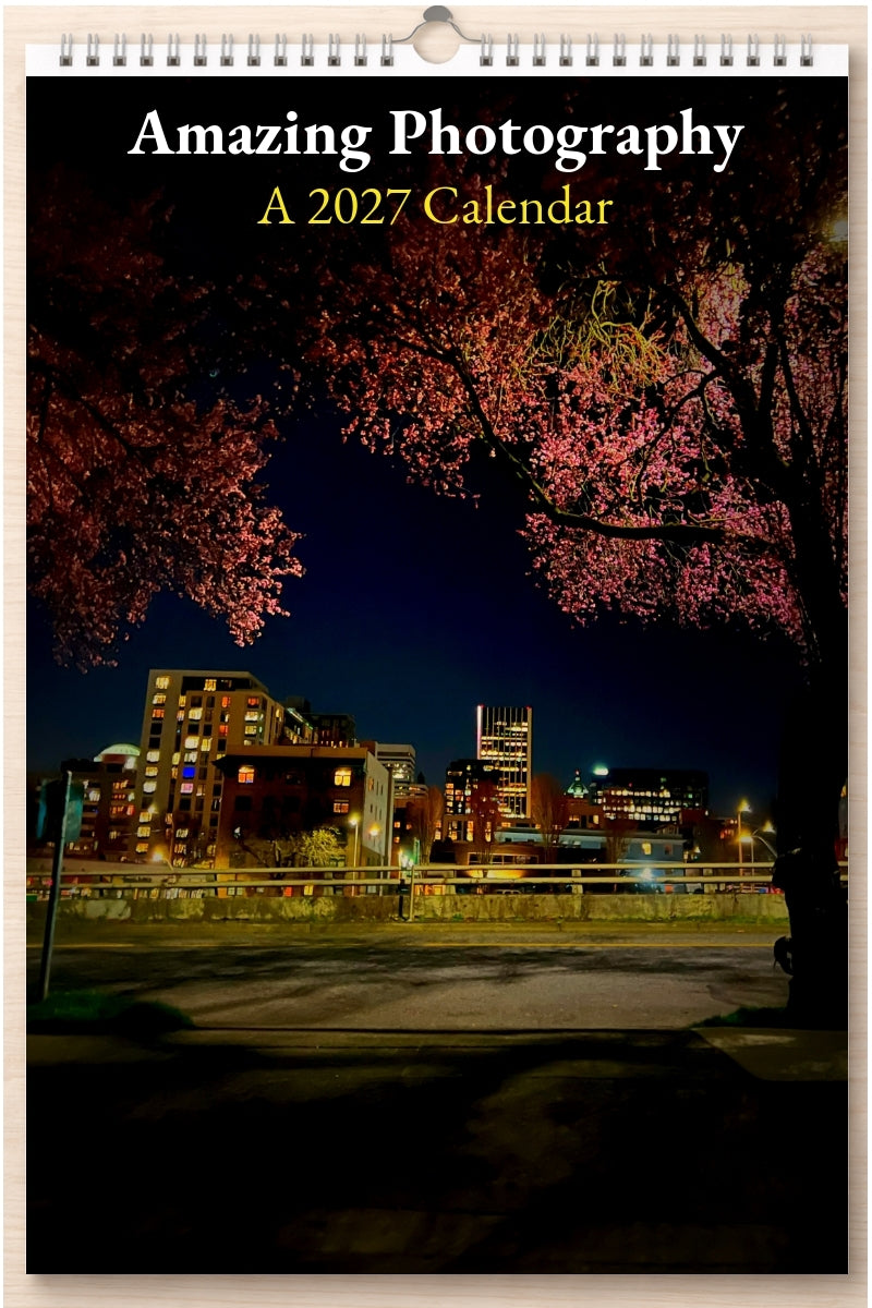 Amazing Photography: A 2027 Calendar