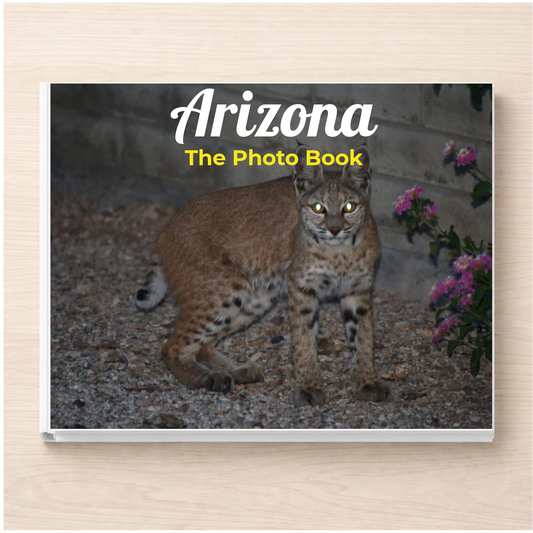 Arizona: The Photo Book