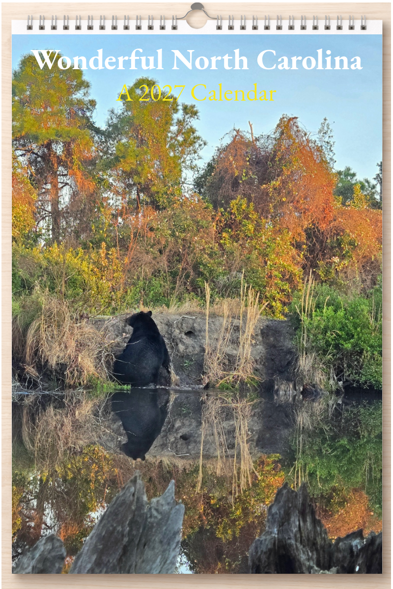 Wonderful North Carolina: A 2027 Calendar