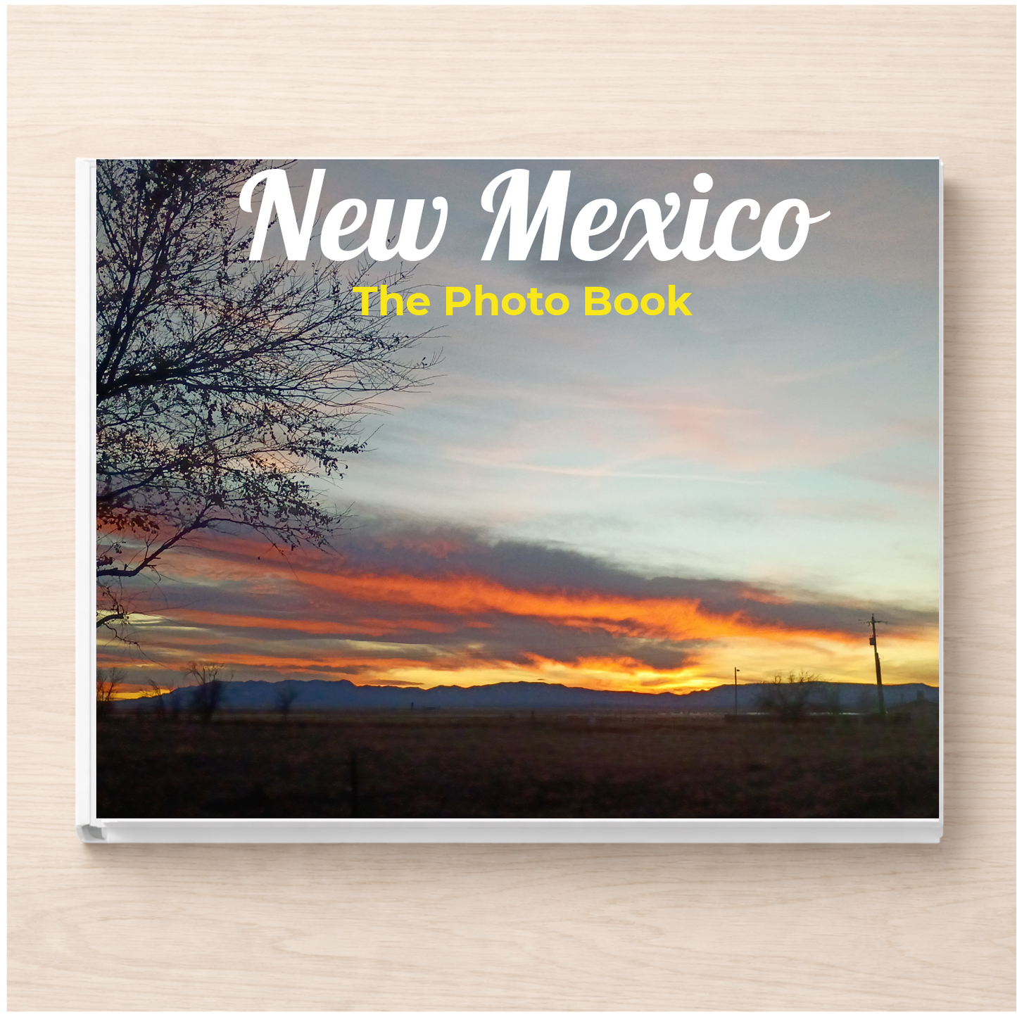 New Mexico: The Photo Book