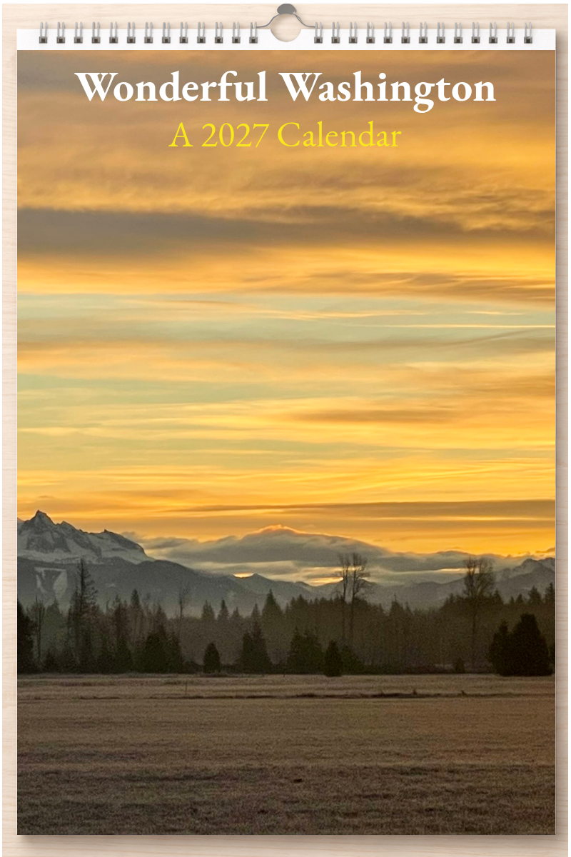 Wonderful Washington: A 2027 Calendar