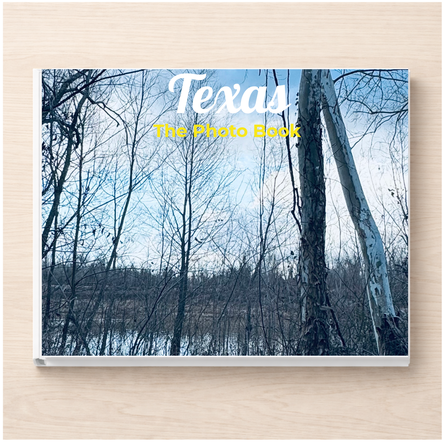 Texas: The Photo Book