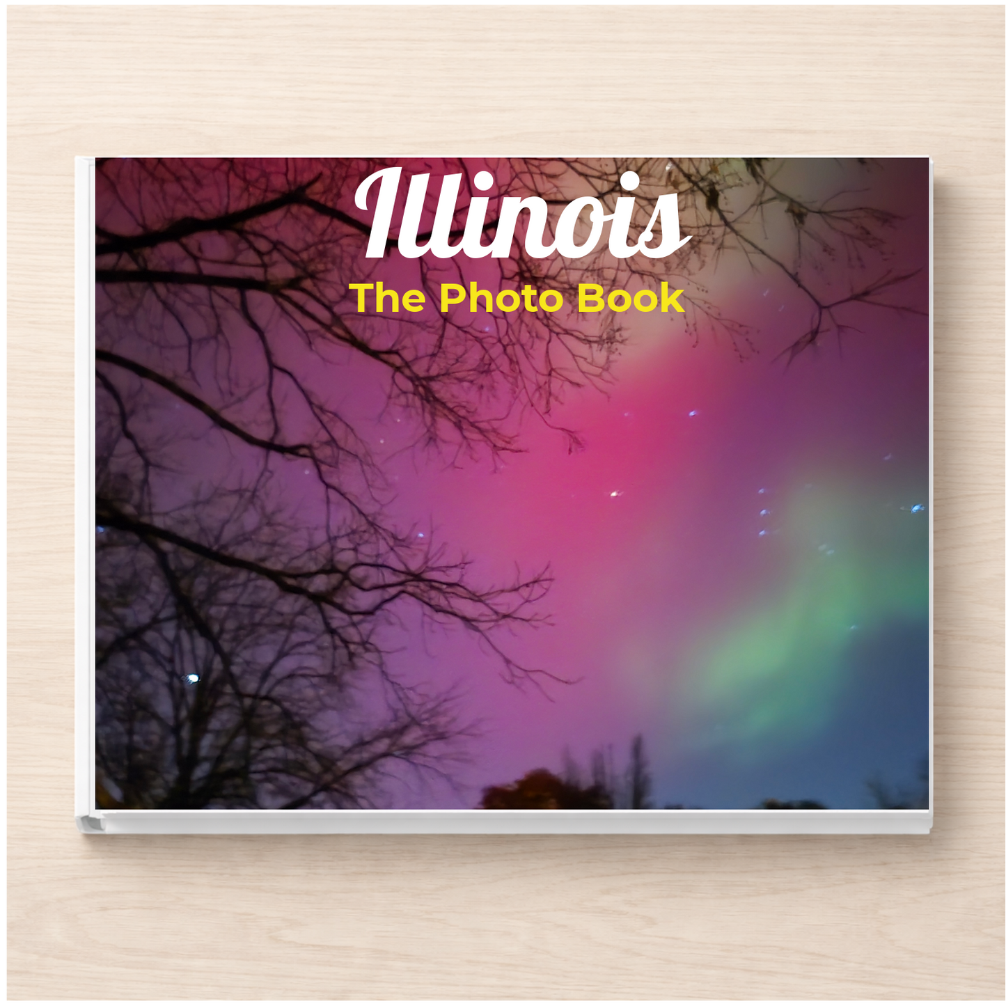 Illinois: The Photo Book