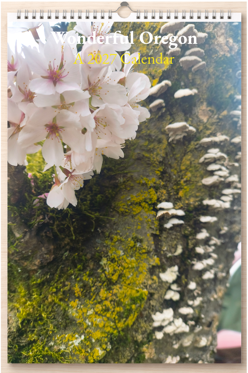 Wonderful Oregon: A 2027 Calendar