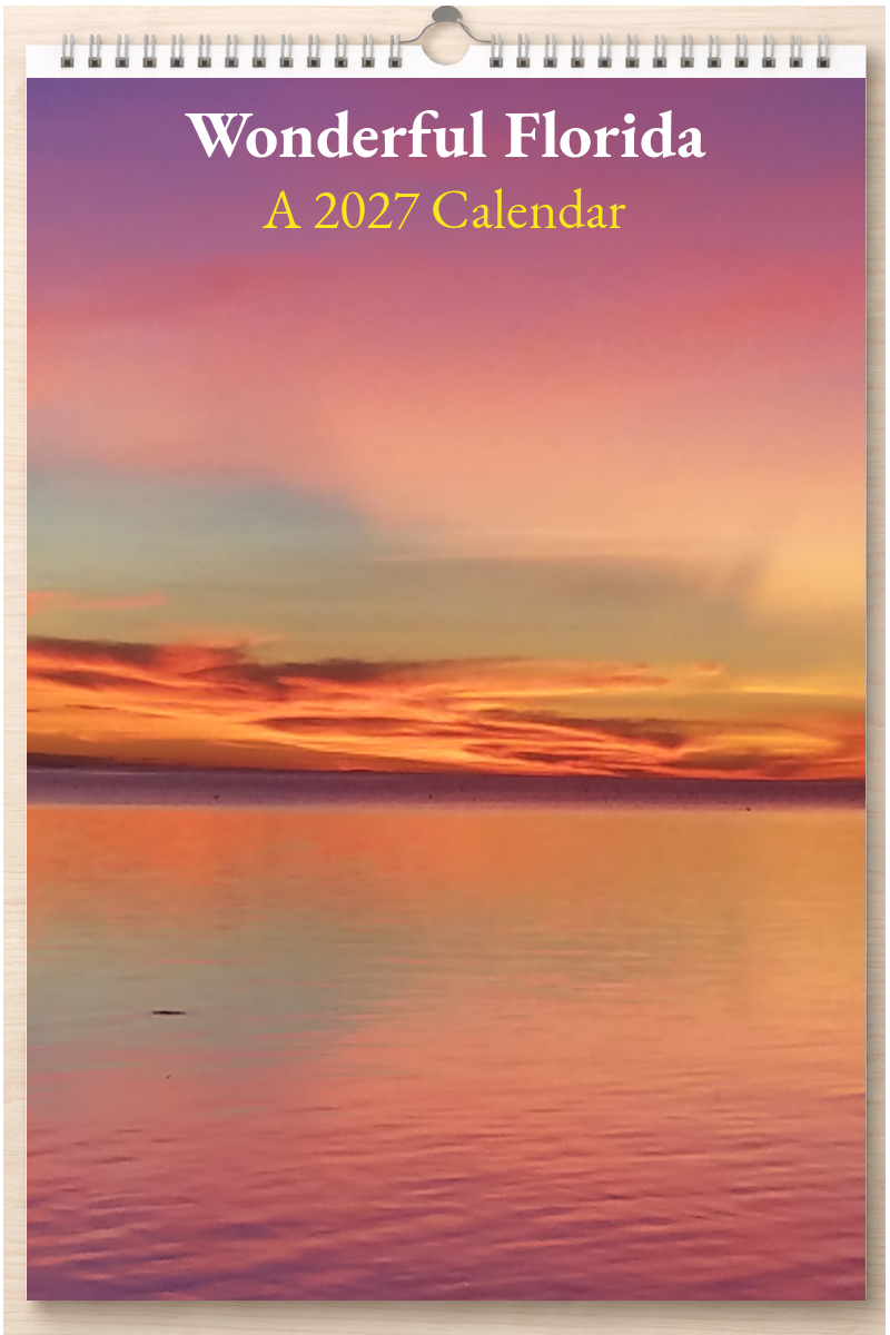Wonderful Florida: A 2027 Calendar
