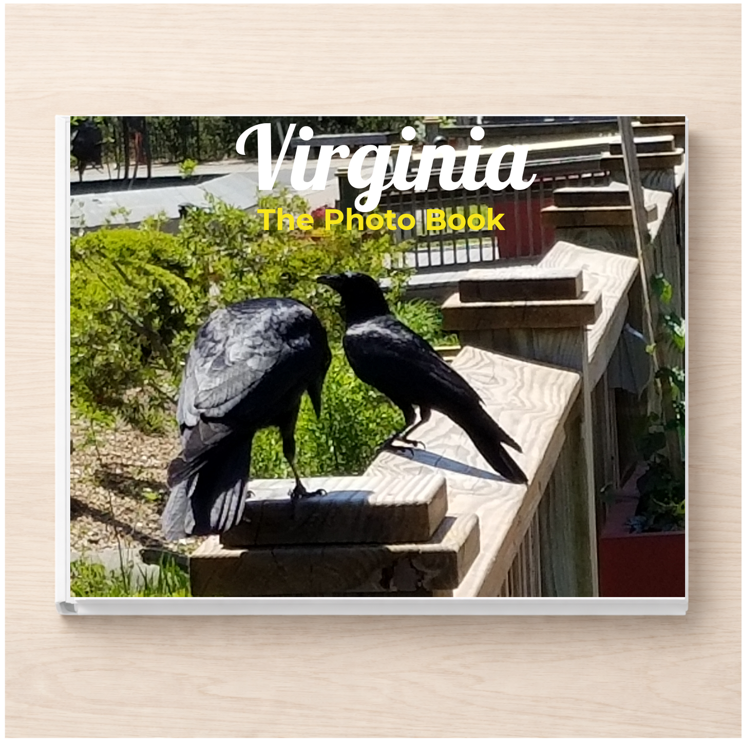Virginia: The Photo Book