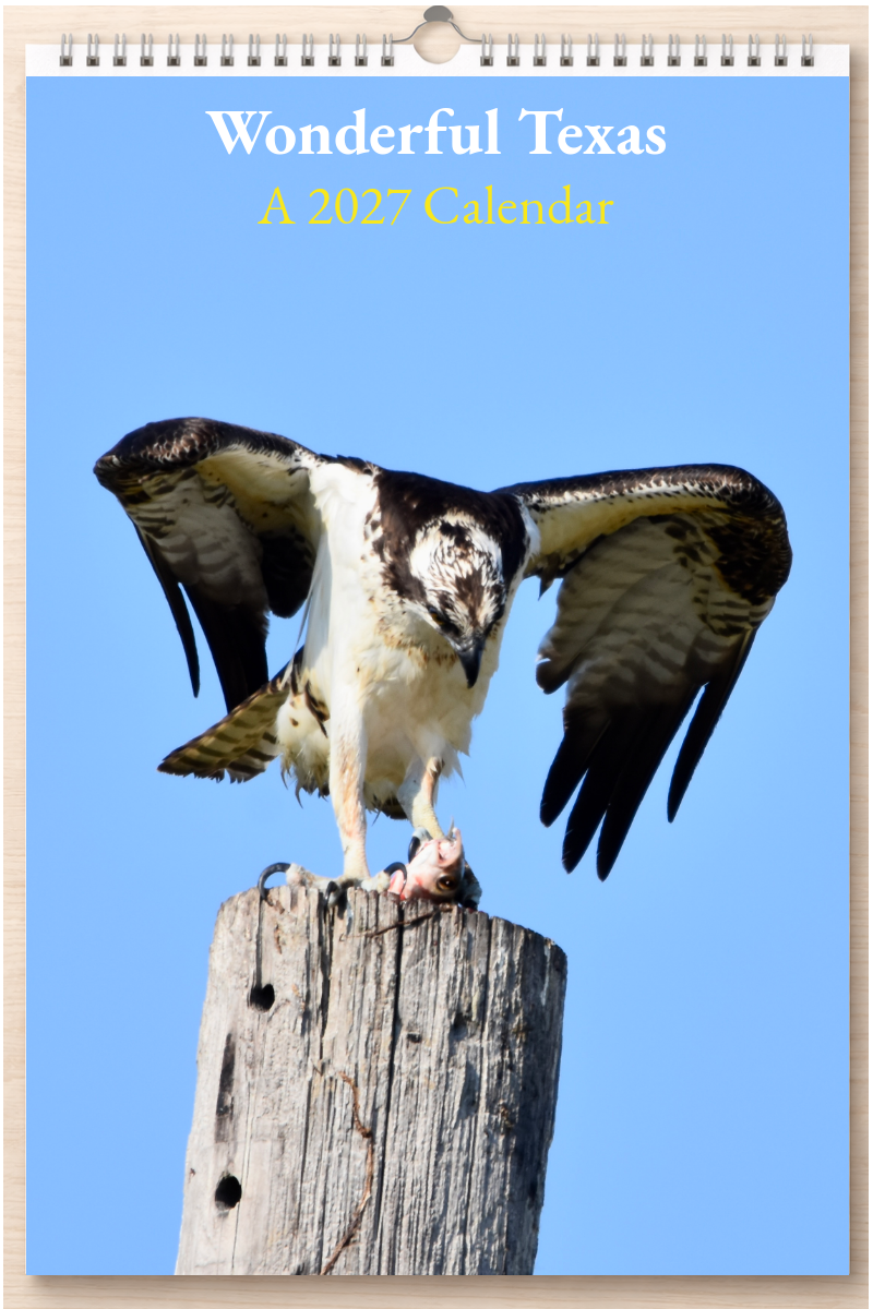 Wonderful Texas: A 2027 Calendar