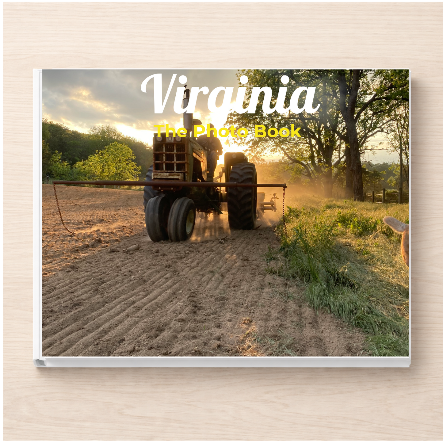 Virginia: The Photo Book
