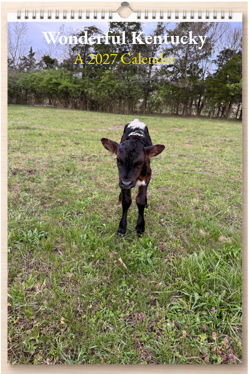 Wonderful Kentucky: A 2027 Calendar