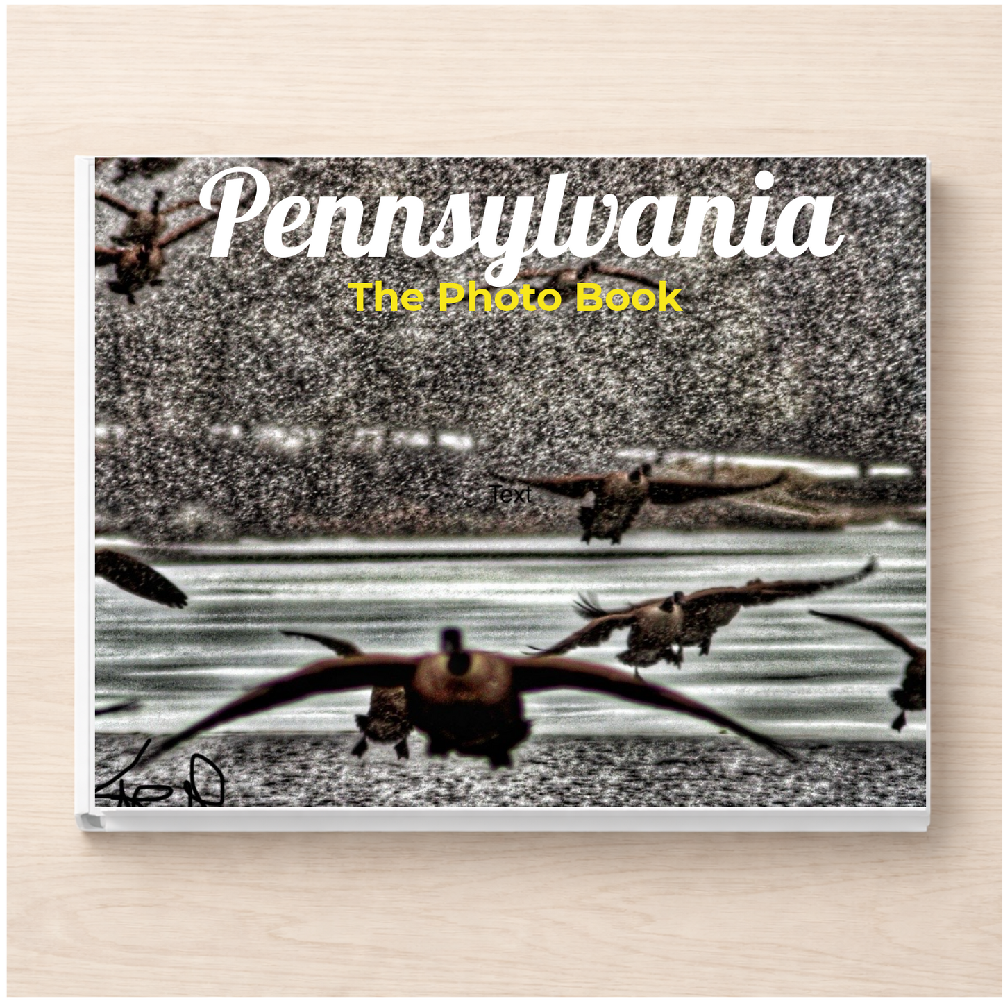 Pennsylvania: The Photo Book