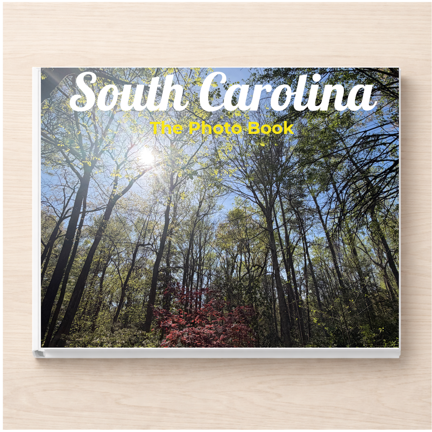 South Carolina: The Photo Book
