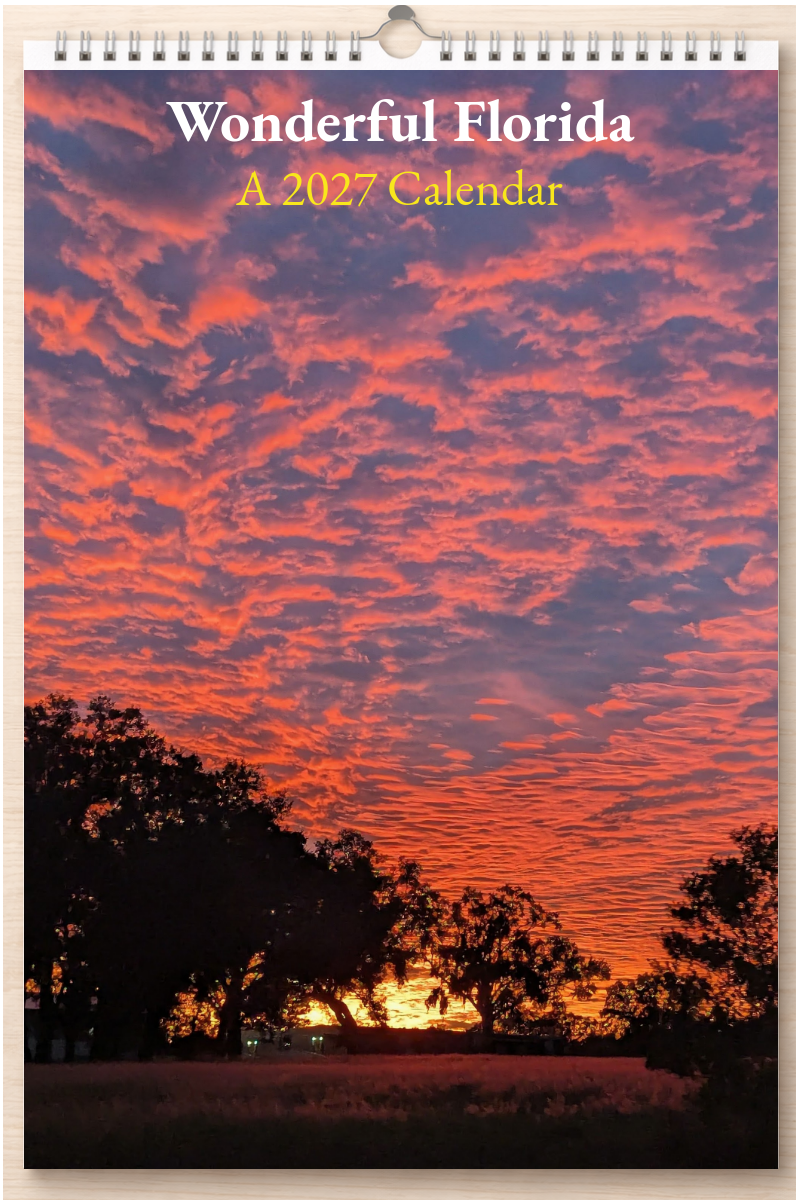 Wonderful Florida: A 2027 Calendar